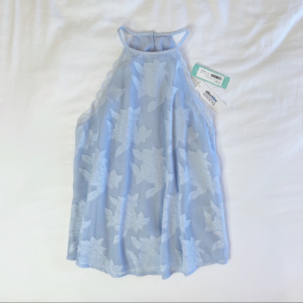 Alice Blue Lace Halter Top